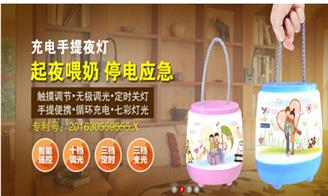 收入证明_海南电信收入